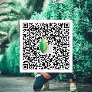 Snapseed QR Code Photo Editing