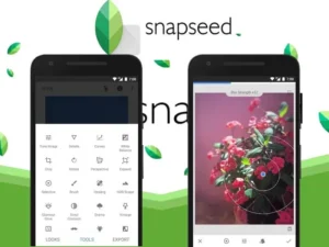 Snapseed Mod APK